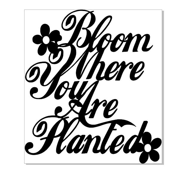 bloom where you are planted  74 x 78 mm sold in 3\'s